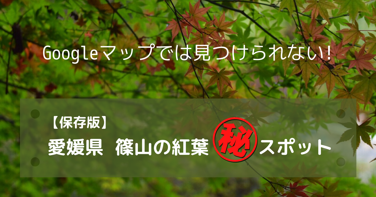 愛媛県篠山の紅葉!Googleマップで見つけられない㊙スポット!